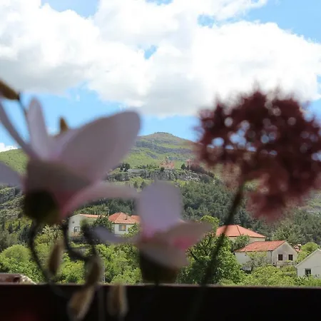 Sunny With A View *