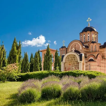 Sunny With A View דירה *