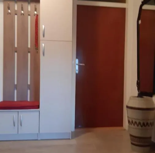 Sunny With A View تريبينيي